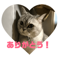 [LINEスタンプ] ココスタンプ2