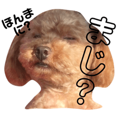 [LINEスタンプ] 喜怒哀楽の激しい♡愛くるしいメロちゃん♡
