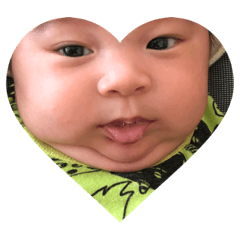 [LINEスタンプ] 息子写真スタンプ