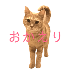 [LINEスタンプ] きなもなふぇ