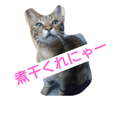 [LINEスタンプ] レオ＆ミケ