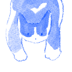 [LINEスタンプ] ふわふわ猫と大切な時間