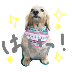 [LINEスタンプ] てんてん vol.1