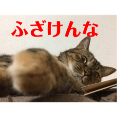 [LINEスタンプ] りんりんりんり