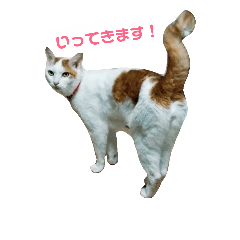 [LINEスタンプ] それゆけかりんくん！