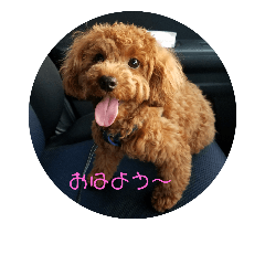 [LINEスタンプ] うちの愛犬♪