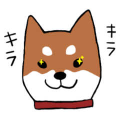 [LINEスタンプ] 手書き柴犬スタンプ