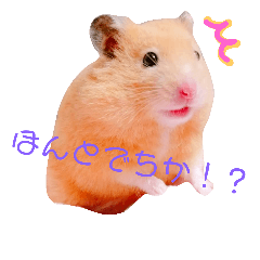 [LINEスタンプ] モカ/moka ①