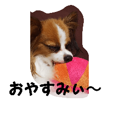 [LINEスタンプ] ずぅスタ