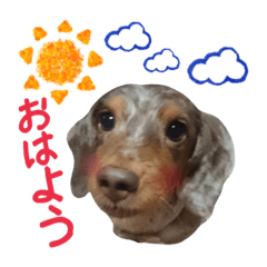 [LINEスタンプ] 我が家の愛犬 (F)