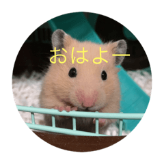 [LINEスタンプ] キャラさん