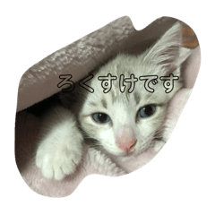 [LINEスタンプ] Winとろくすけ