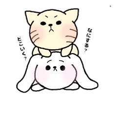 [LINEスタンプ] ネコウサ