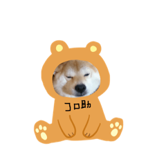 [LINEスタンプ] コロ助しゃん