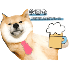 [LINEスタンプ] 柴犬お豆