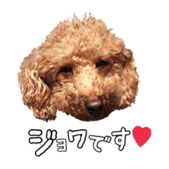 [LINEスタンプ] ジョワのスタンプ