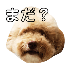 [LINEスタンプ] 茶力スタンプ