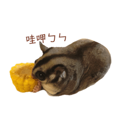 [LINEスタンプ] 私のパート