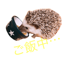 [LINEスタンプ] ハリネズミのたわしスタンプ