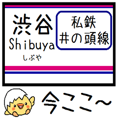 [LINEスタンプ] 井の頭線 気軽に今この駅だよ！