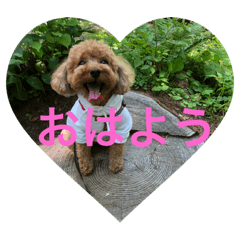 [LINEスタンプ] コロンさん