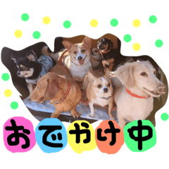 [LINEスタンプ] 8匹の愉快な愛犬達2の画像（メイン）