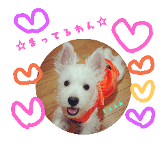 [LINEスタンプ] 全員大集合