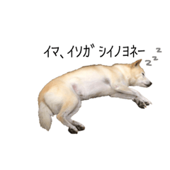 [LINEスタンプ] うちのぷちちゃん2