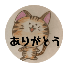 [LINEスタンプ] 猫にゃんにゃんにゃん