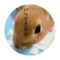 [LINEスタンプ] れおたん登場！