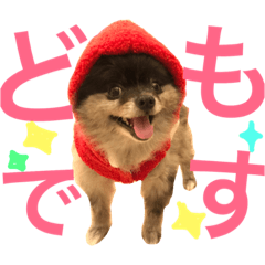 [LINEスタンプ] リオ＆そら (敬語編)