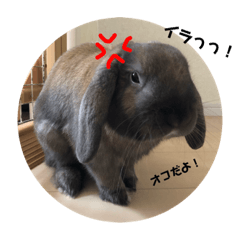 [LINEスタンプ] サブちゃん日常スタンプ
