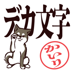 [LINEスタンプ] 黒柴かいり（デカ文字・敬語）