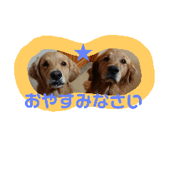 [LINEスタンプ] 陽新