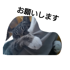 [LINEスタンプ] 猫屋敷 わさりりあん～③