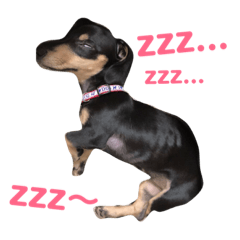 [LINEスタンプ] てつこスタンプ