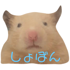 [LINEスタンプ] ゆかいなハムスターぷにさんのスタンプ