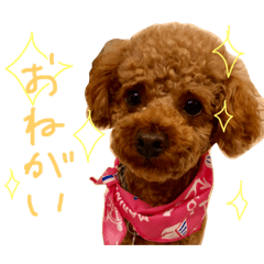 [LINEスタンプ] アンとあずき 2