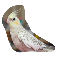 [LINEスタンプ] モモchan