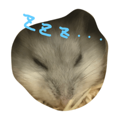 [LINEスタンプ] にゃけもっぷー