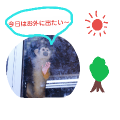 [LINEスタンプ] 動物たちはかわいい