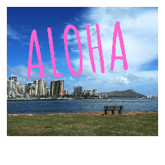 Holiday in hawaii