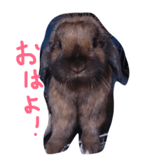 [LINEスタンプ] マロ会話