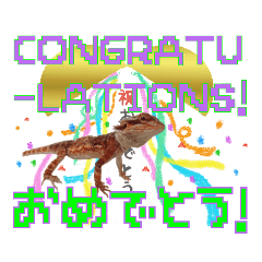 [LINEスタンプ] フトアゴと記念日を祝おう！［でか文字］
