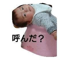 [LINEスタンプ] 周ちゃんスタンプ【乳児期】