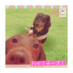[LINEスタンプ] 鬼嫁のベルとその旦那のスリンキー