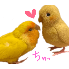 [LINEスタンプ] インコのからあげスタンプ
