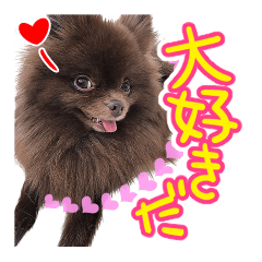 [LINEスタンプ] 毎日ぷすぷすver.1
