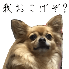 [LINEスタンプ] 我おこげぞ