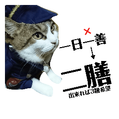 [LINEスタンプ] きじしろニャンコおもしろstamp